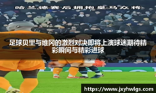 完美体育